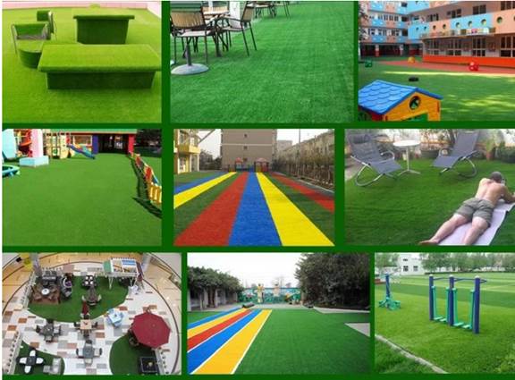 image006.jpg image006.jpg